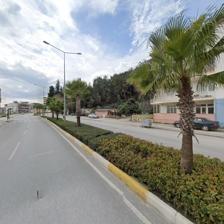 Fotoğraf 7