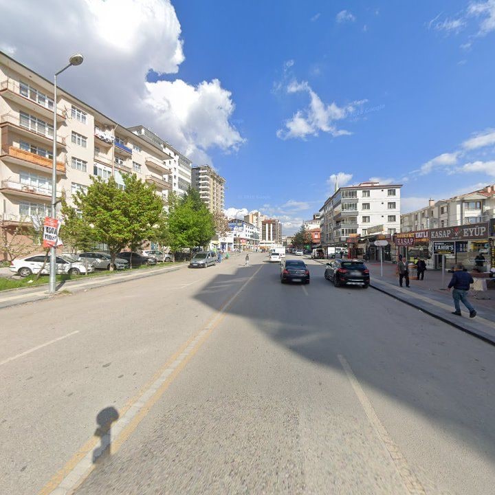 Fotoğraf 8