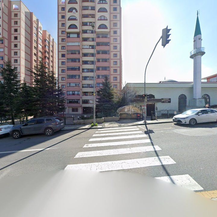 Fotoğraf 8