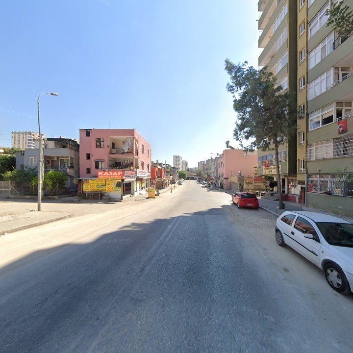 Fotoğraf 8
