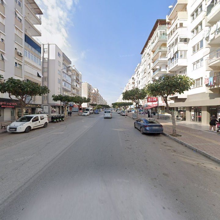 Fotoğraf 11