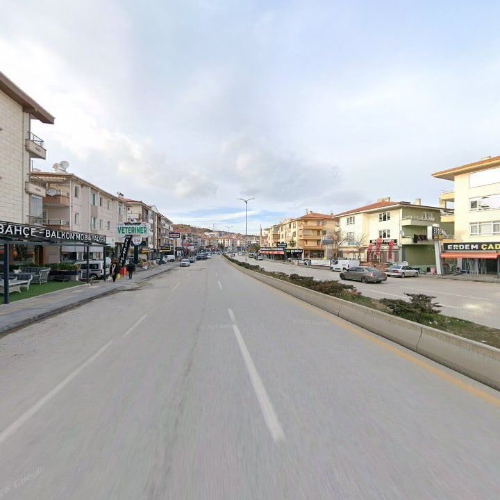 Fotoğraf 6