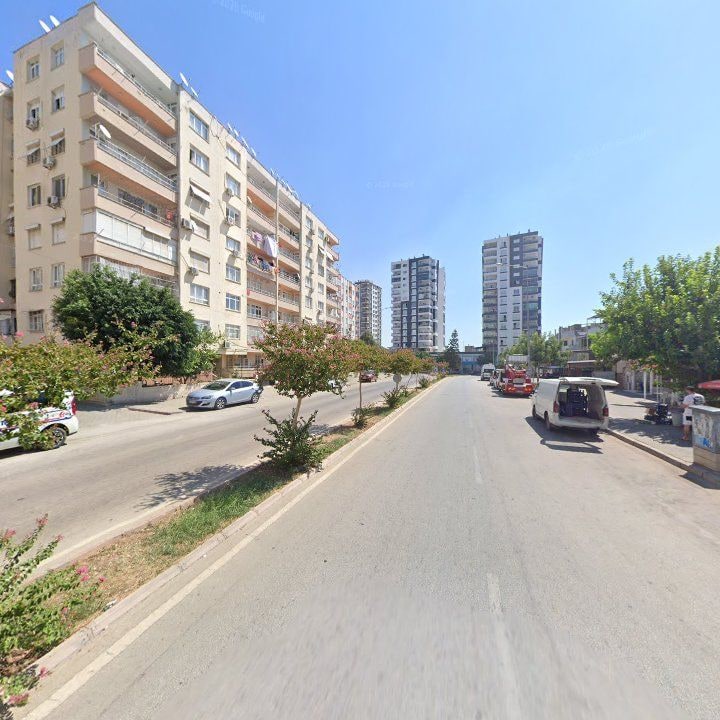 Fotoğraf 8
