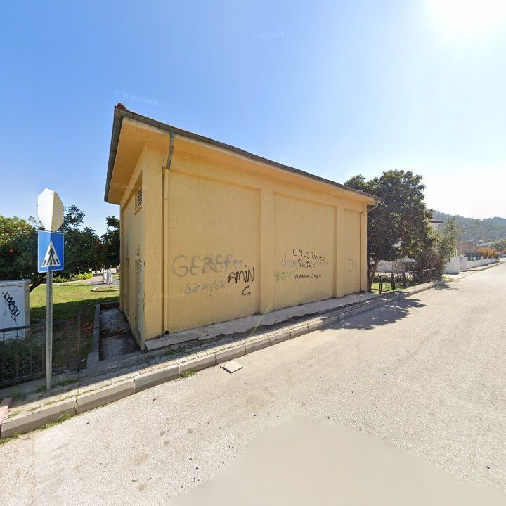 Fotoğraf 8