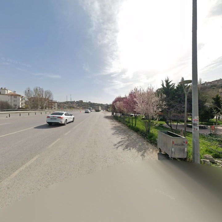 Fotoğraf 8