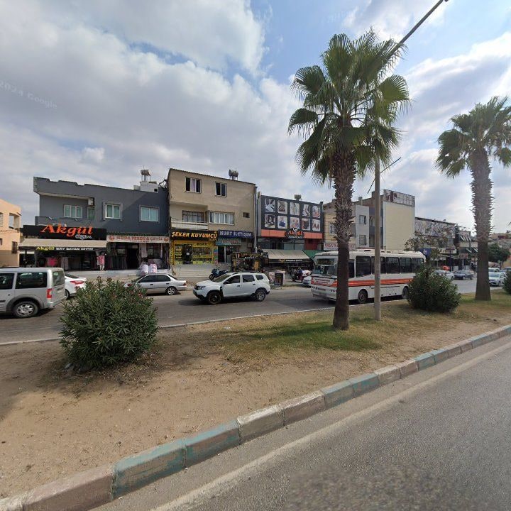 Fotoğraf 10