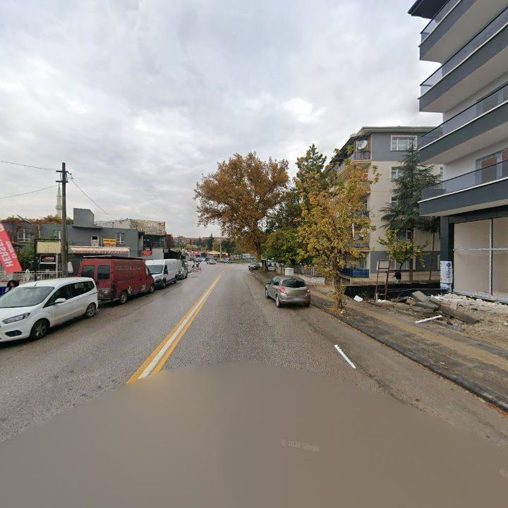 Fotoğraf 7