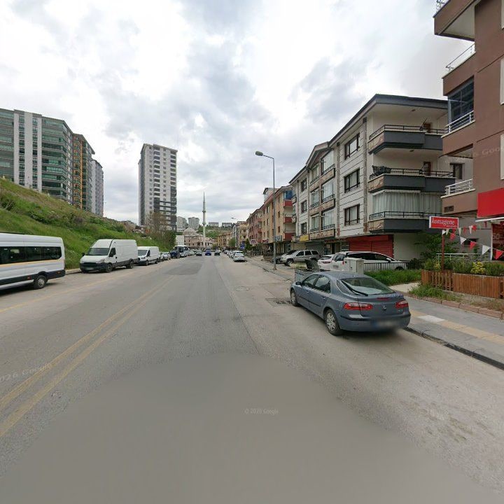 Fotoğraf 8