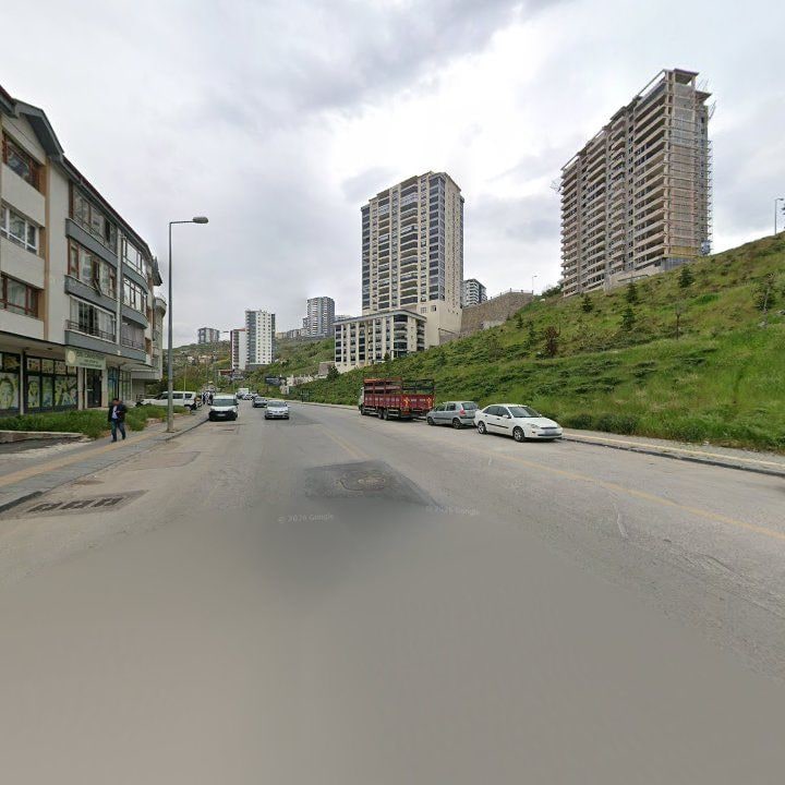 Fotoğraf 6