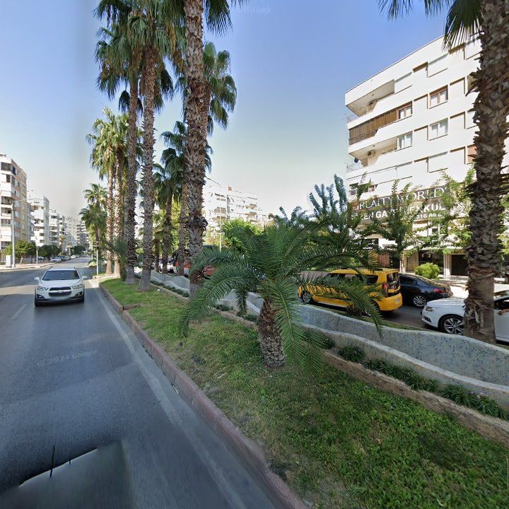 Fotoğraf 8