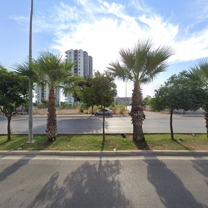 Fotoğraf 10