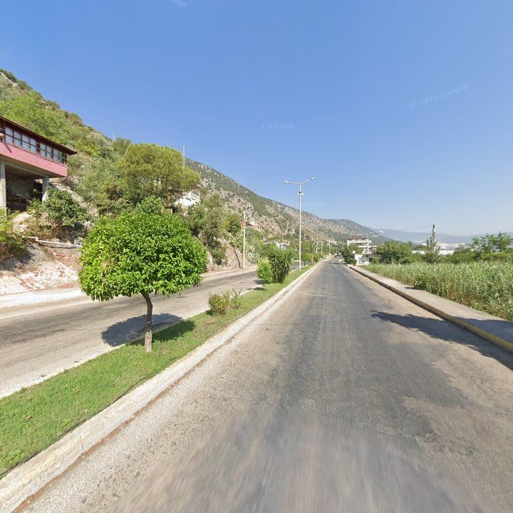 Fotoğraf 4
