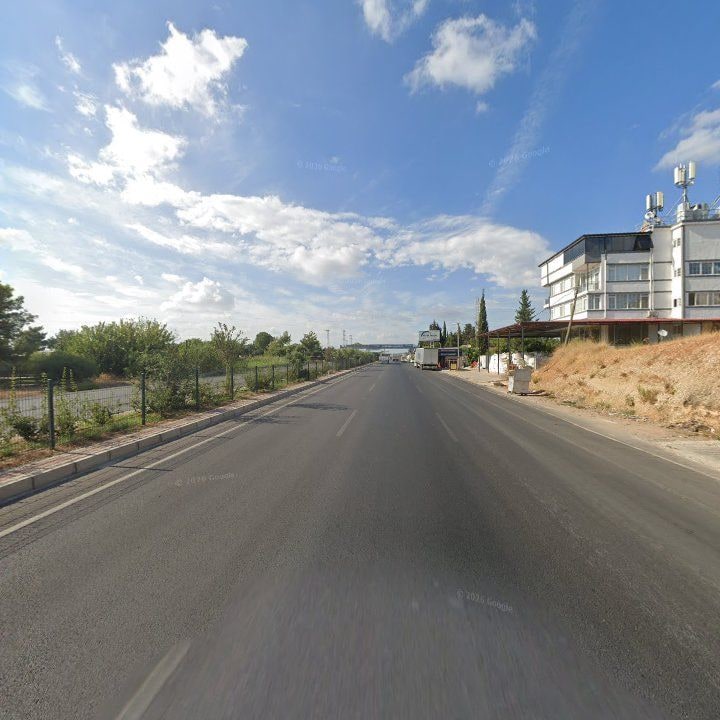 Fotoğraf 7