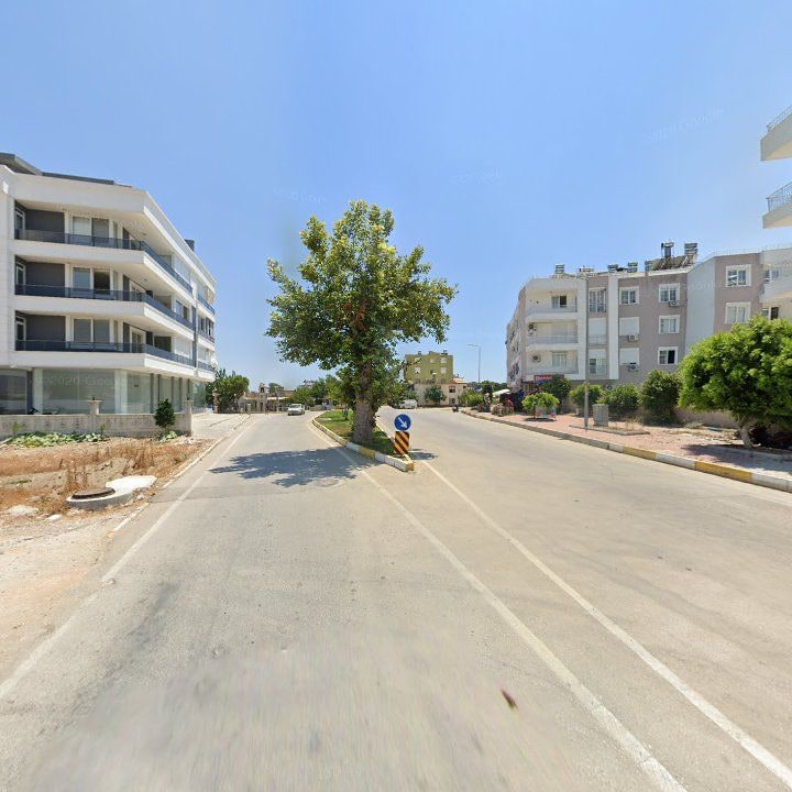 Fotoğraf 13