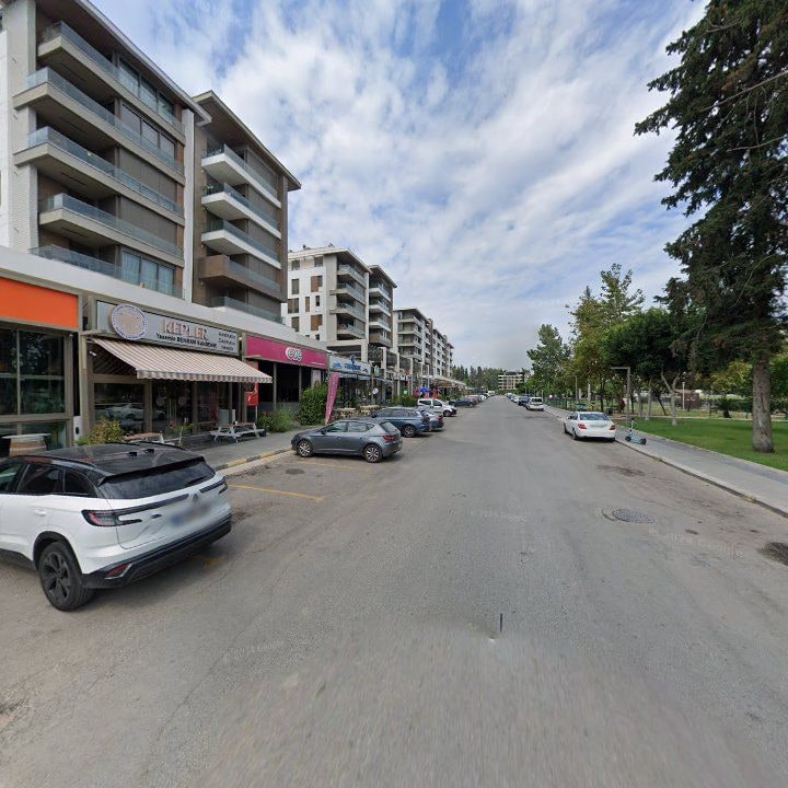 Fotoğraf 11