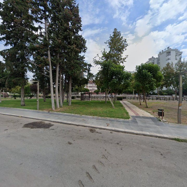 Fotoğraf 12