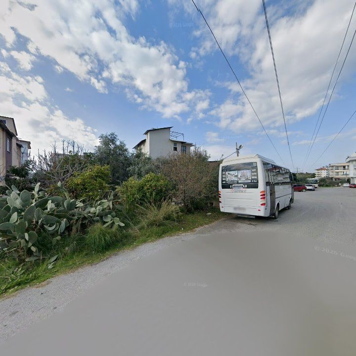 Fotoğraf 8