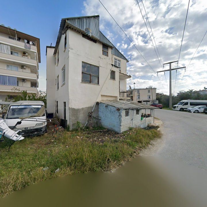 Fotoğraf 6