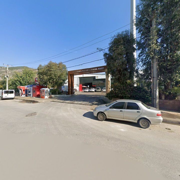 Fotoğraf 5