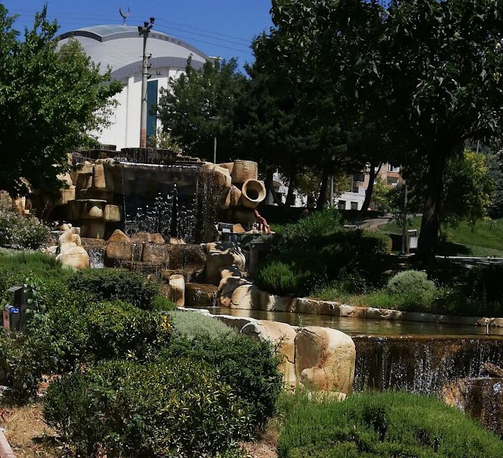 Fotoğraf 7