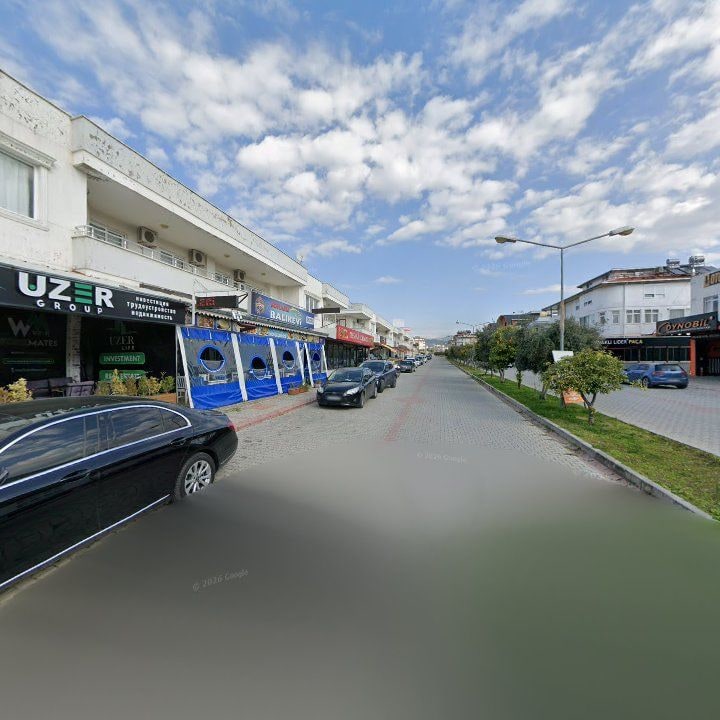 Fotoğraf 11