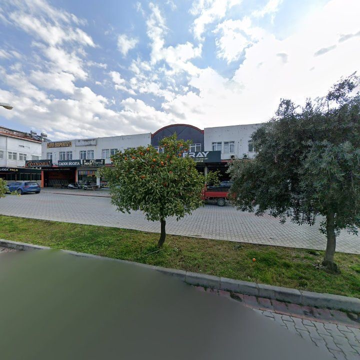 Fotoğraf 12