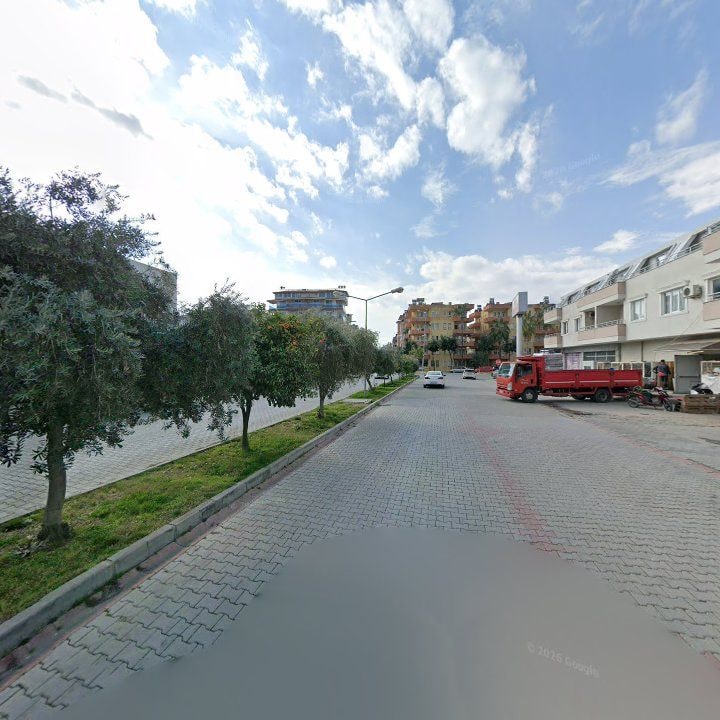 Fotoğraf 13