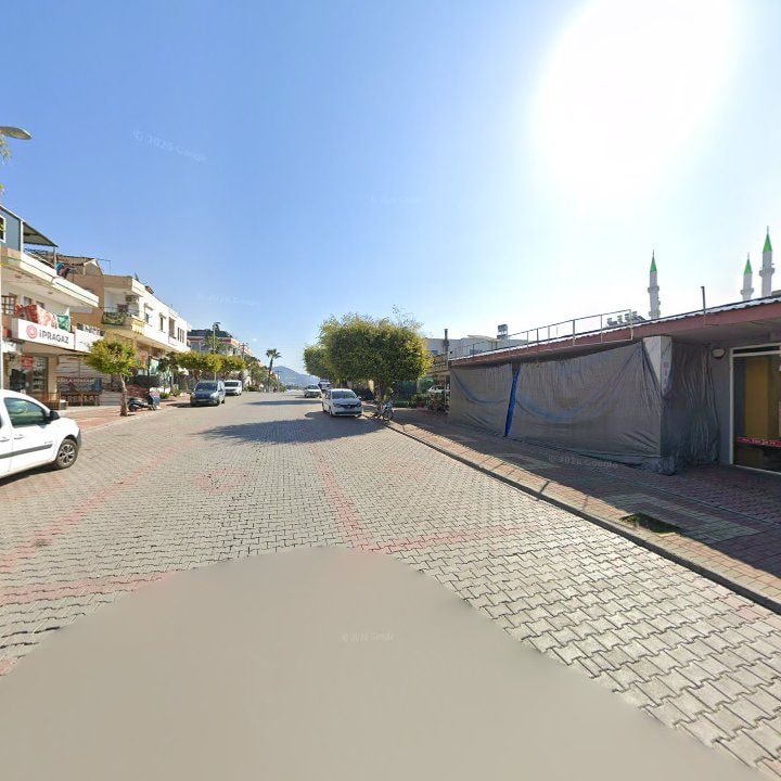 Fotoğraf 7