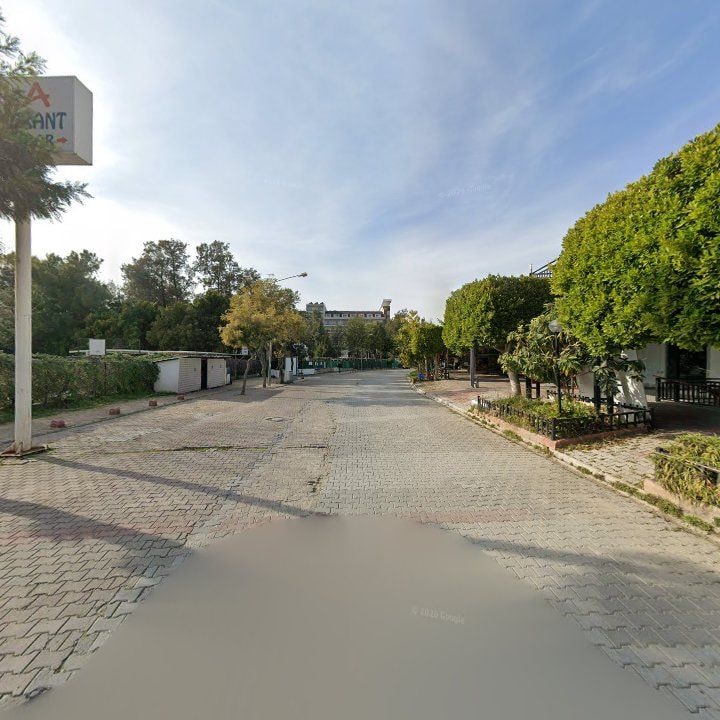 Fotoğraf 13