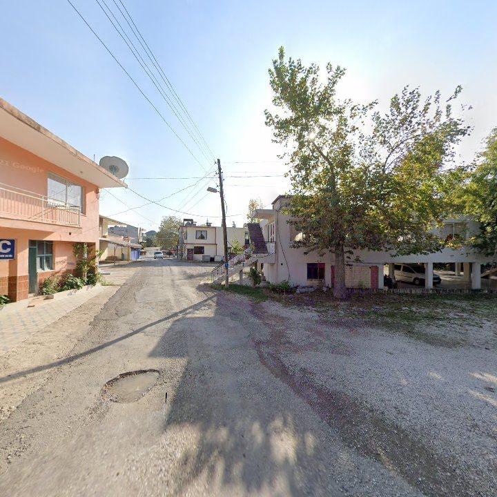 Fotoğraf 8