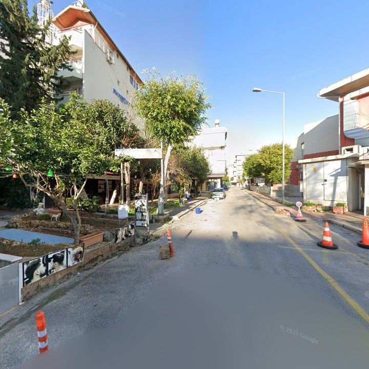 Fotoğraf 4