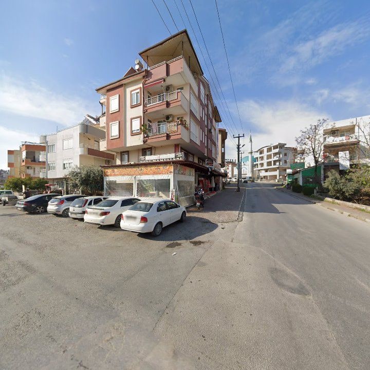 Fotoğraf 10