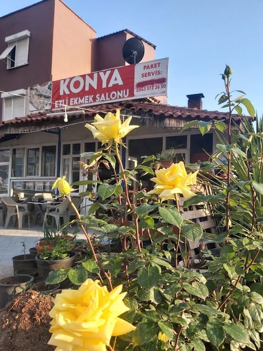 Fotoğraf 6