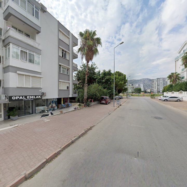Fotoğraf 9