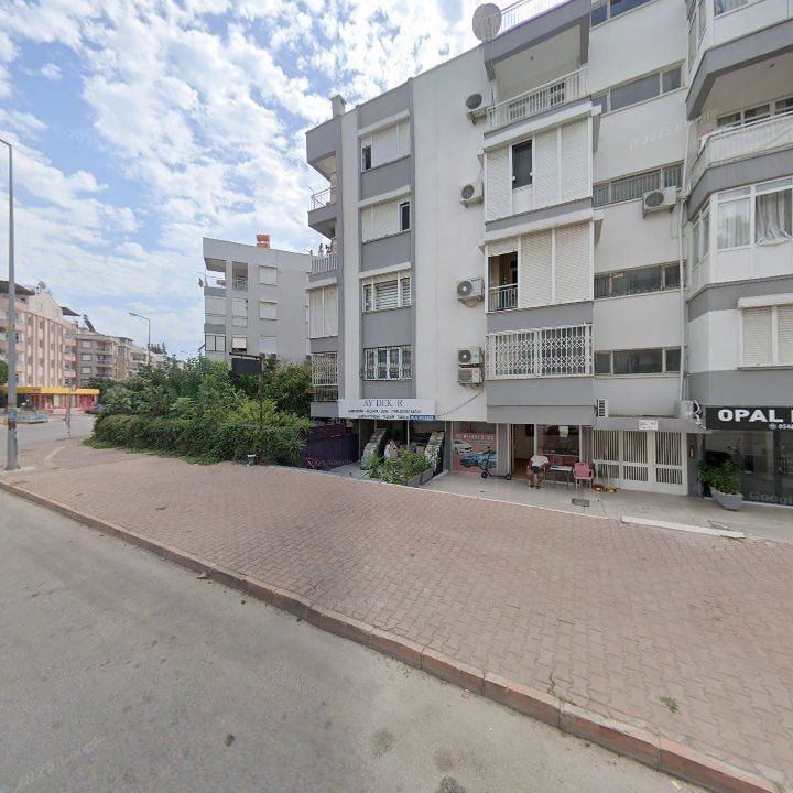 Fotoğraf 8