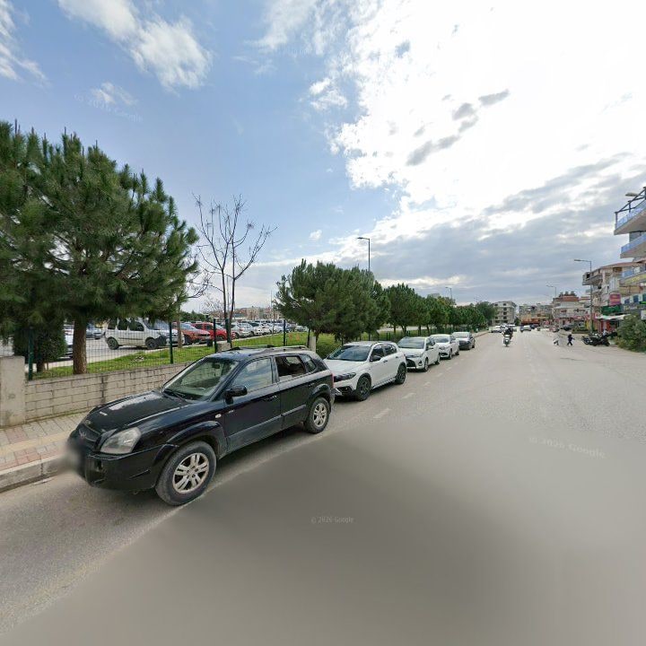 Fotoğraf 10