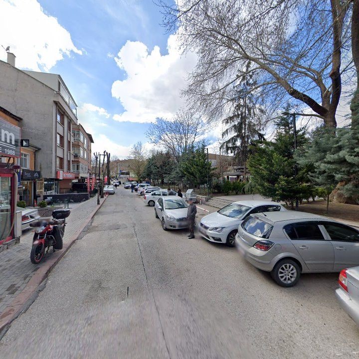 Fotoğraf 11