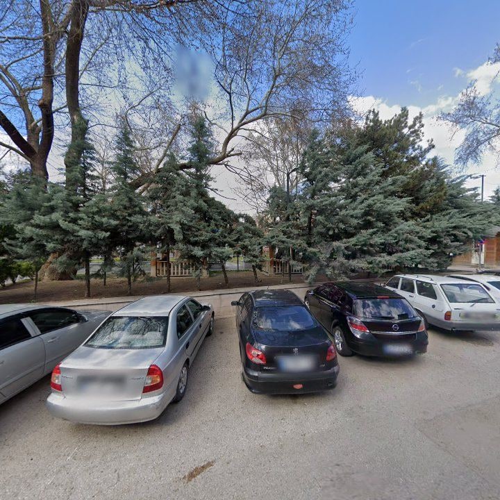 Fotoğraf 12