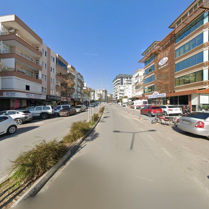 Fotoğraf 11