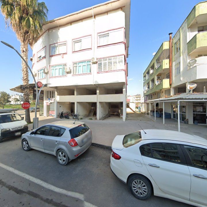 Fotoğraf 7