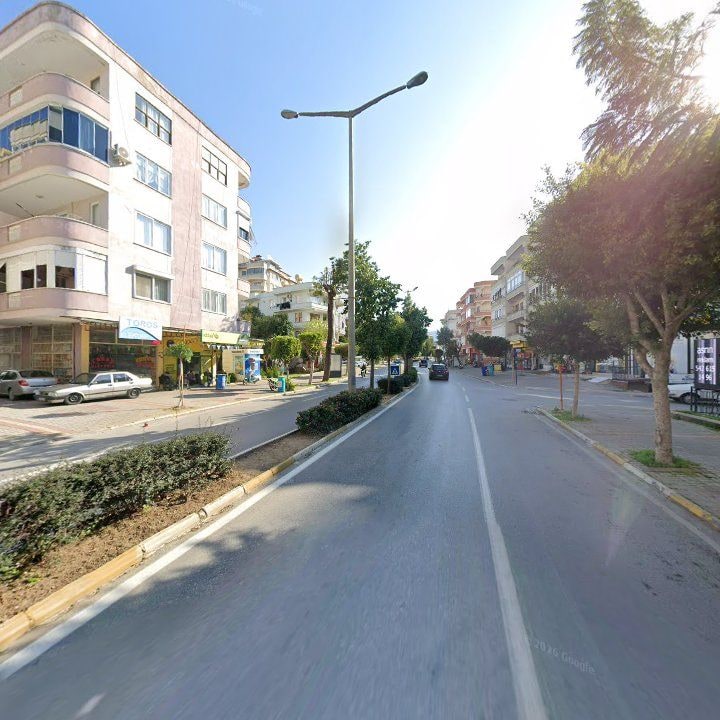 Fotoğraf 9