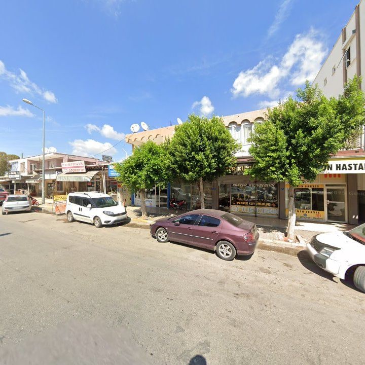 Fotoğraf 7