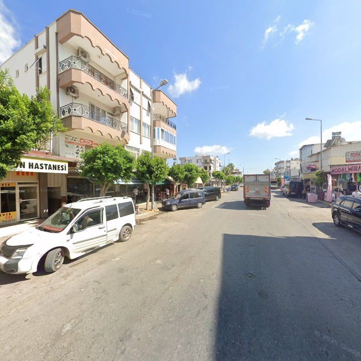 Fotoğraf 8