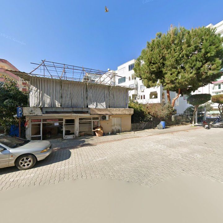 Fotoğraf 8