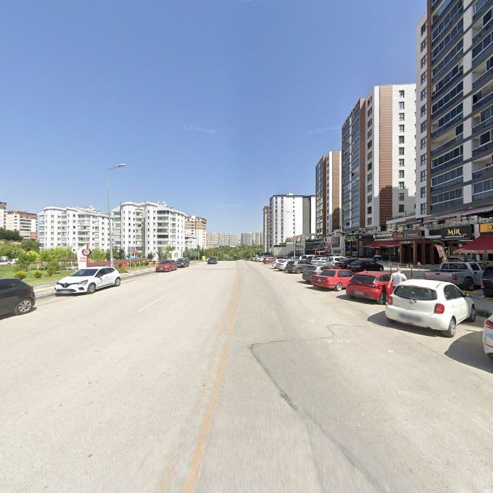 Fotoğraf 12