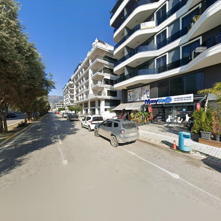 Fotoğraf 9