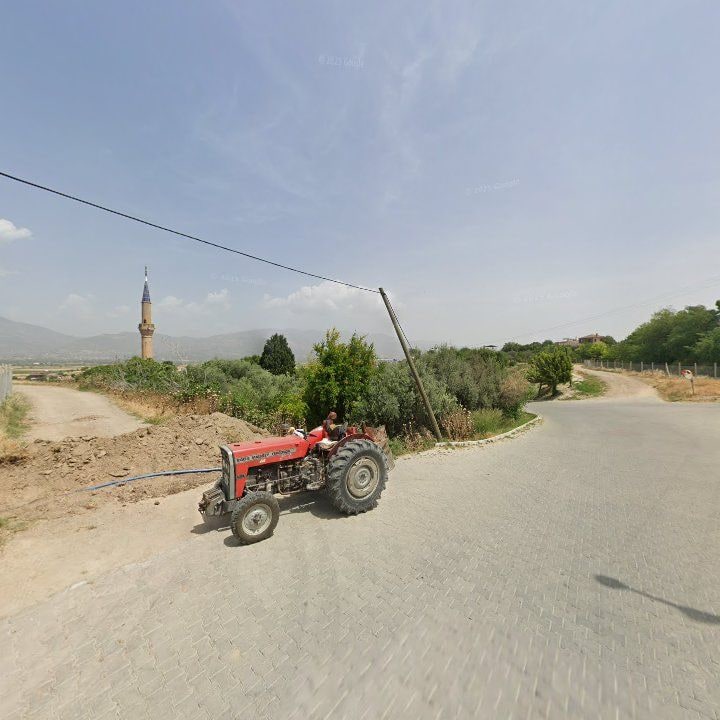 Fotoğraf 5