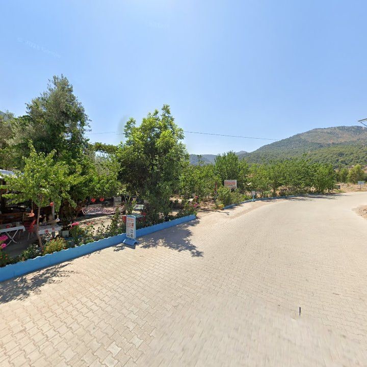 Fotoğraf 10