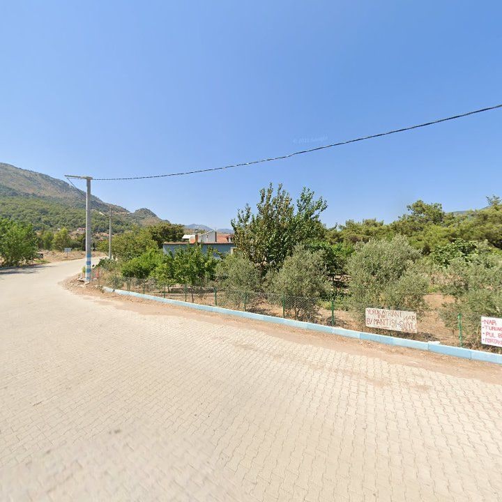 Fotoğraf 11