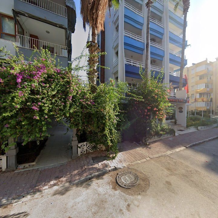 Fotoğraf 11